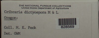 Image Associated With the Occurence